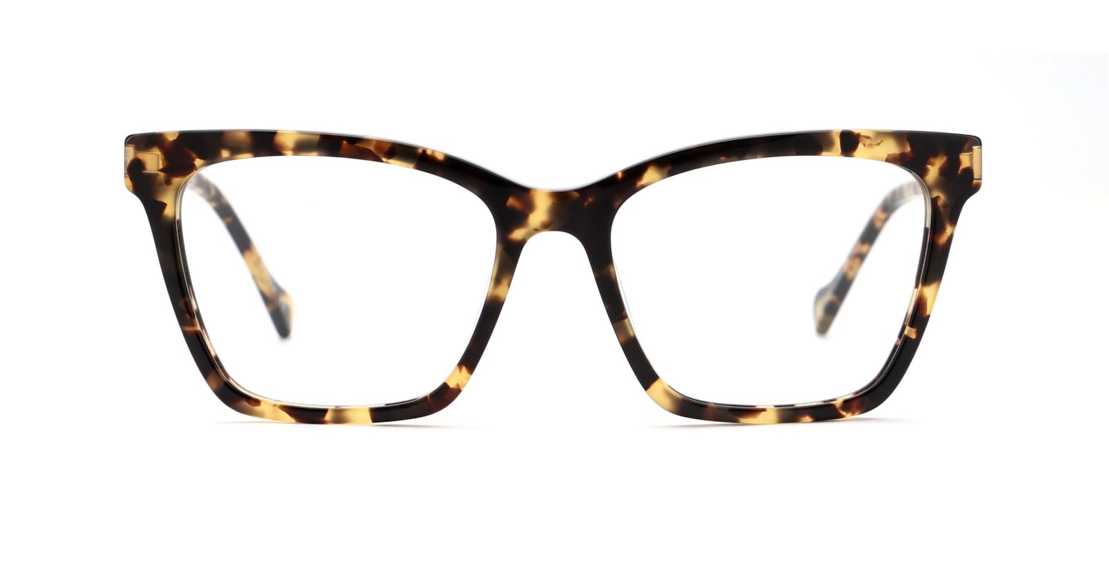 Donna 1023, C2