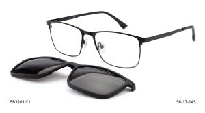 Bruno Botti 3201, C1