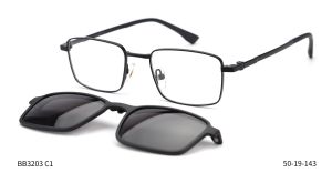 Bruno Botti 3203, C1