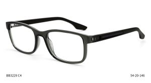 Bruno Botti 3229, C4