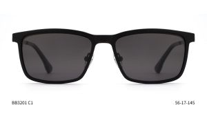 Bruno Botti 3201, C1