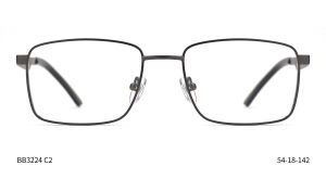 Bruno Botti 3224, C2