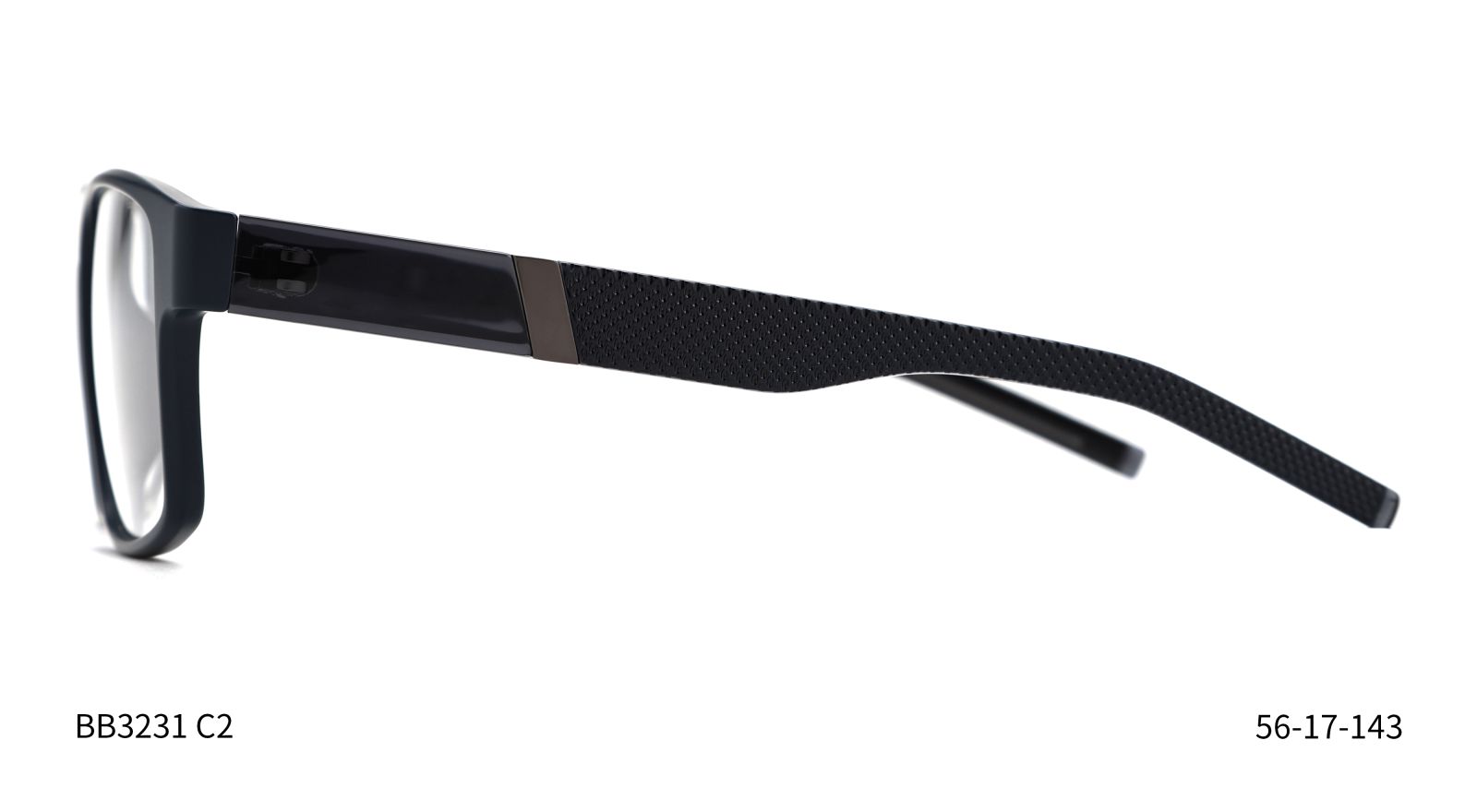 Bruno Botti 3231, C2