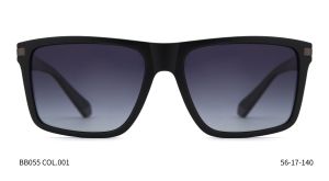 Bruno Botti BB055, C1