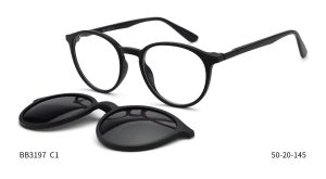 Bruno Botti 3197, C1