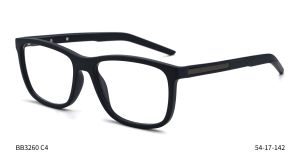 Bruno Botti 3260, C4