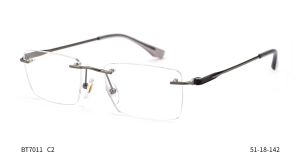 Bruno Botti 7011, C2