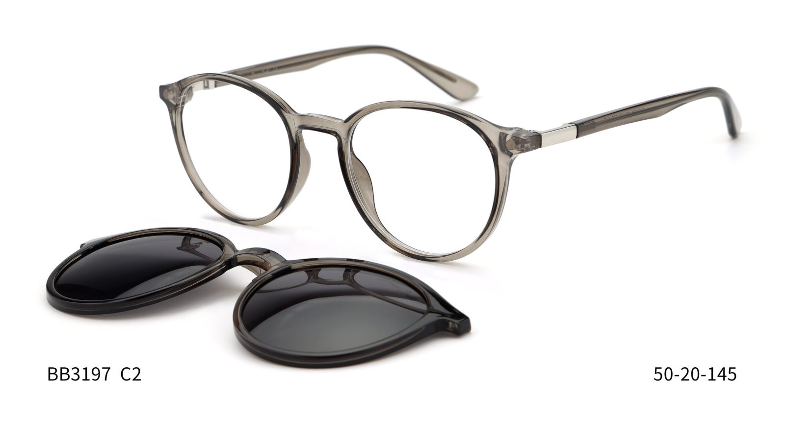 Bruno Botti 3197, C2