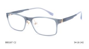 Bruno Botti 3187, C2