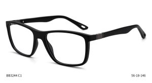 Bruno Botti 3244, C1