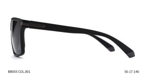 Bruno Botti BB055, C1