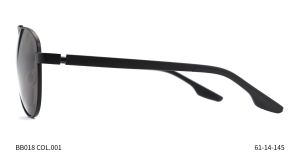 Bruno Botti BB018, C1