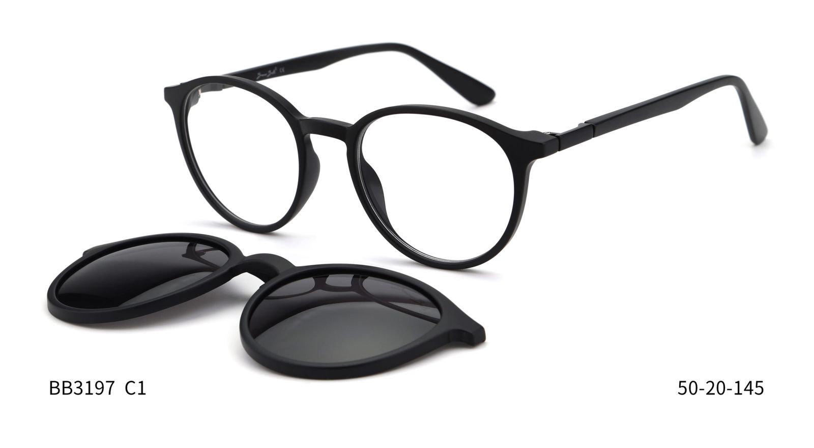 Bruno Botti 3197, C1