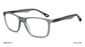 Bruno Botti 3244, C5