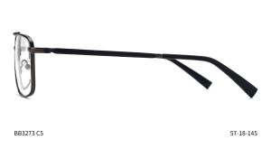 Bruno Botti 3273, C5